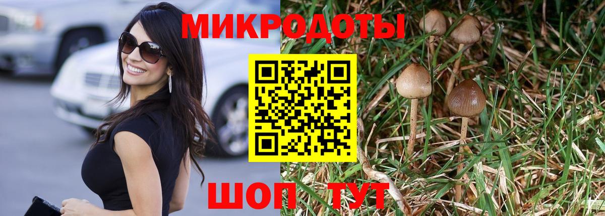 Кыштым  Псилоцибиновые грибы Psilocybe  Вход с VPN  Галлюциногенные грибы GOLDEN TEACHER 