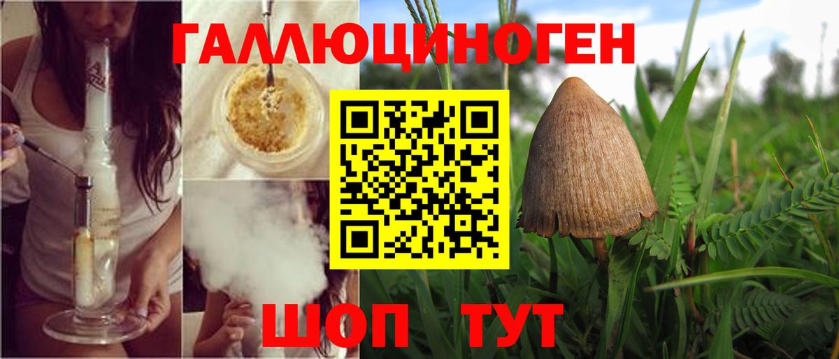 Псилоцибиновые грибы GOLDEN TEACHER Кыштым